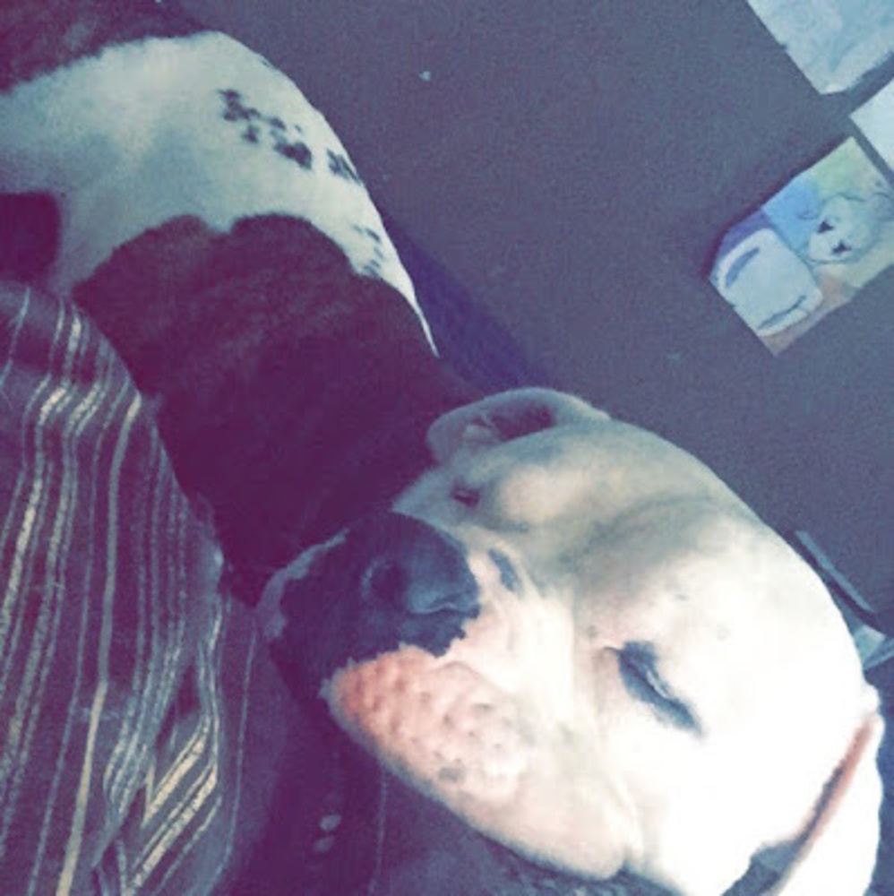 Meet your Posher, Brooke